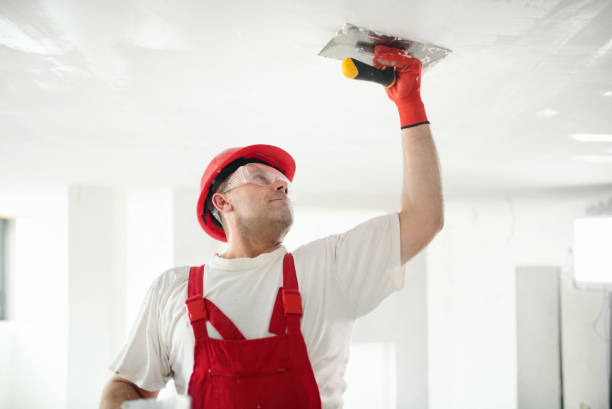 Best Pressure Washing and Painting Preparation  in Mono Vista, CA